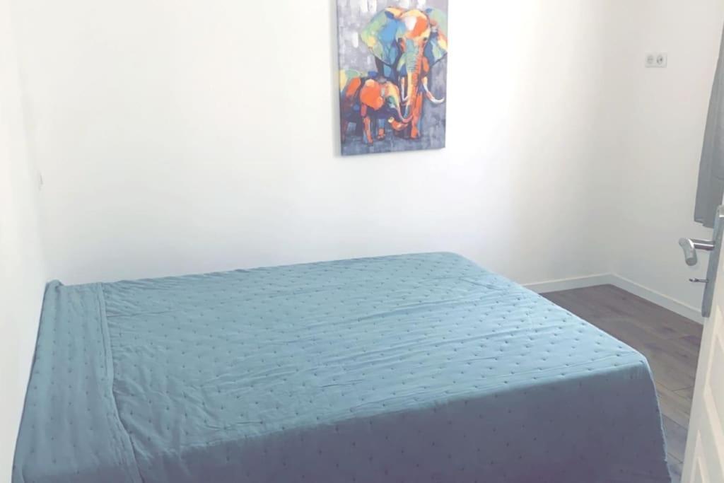 Appartement T2 Chez Thomas Et Nas Omessa 외부 사진