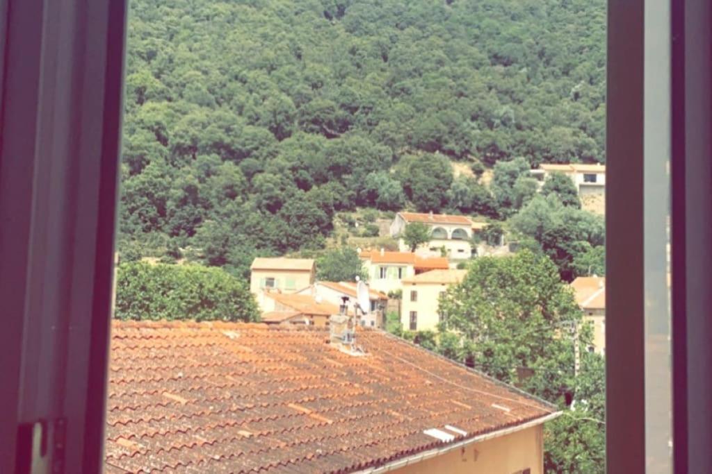 Appartement T2 Chez Thomas Et Nas Omessa 외부 사진